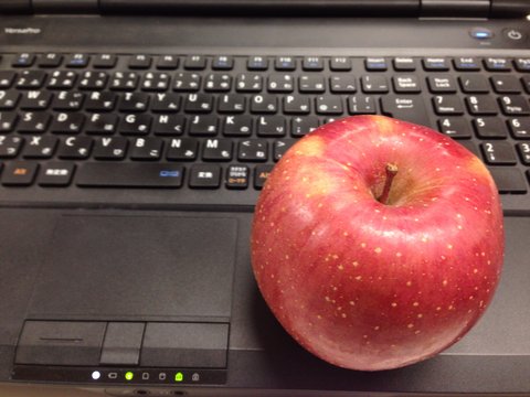 おいしいリンゴをいただきました。
