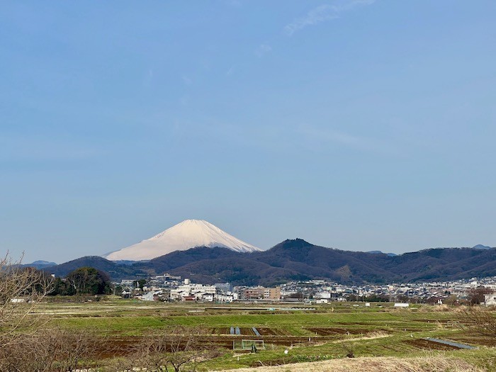 春の弘法山と雪の富士山