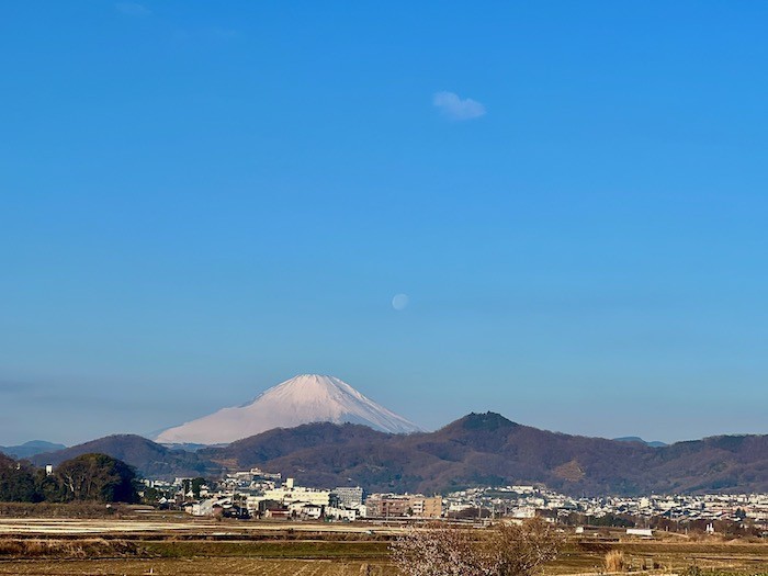 弘法山と富士山