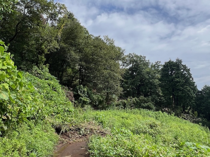 弘済学園から北矢名へ抜ける山道