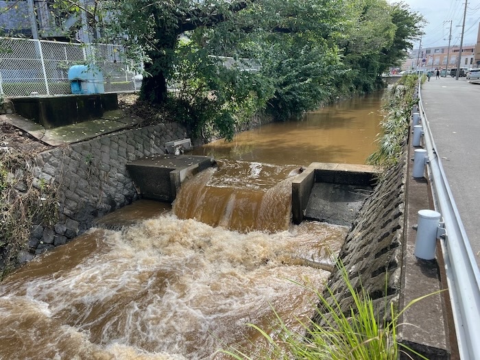 大雨の時にはあふれることがある大根川