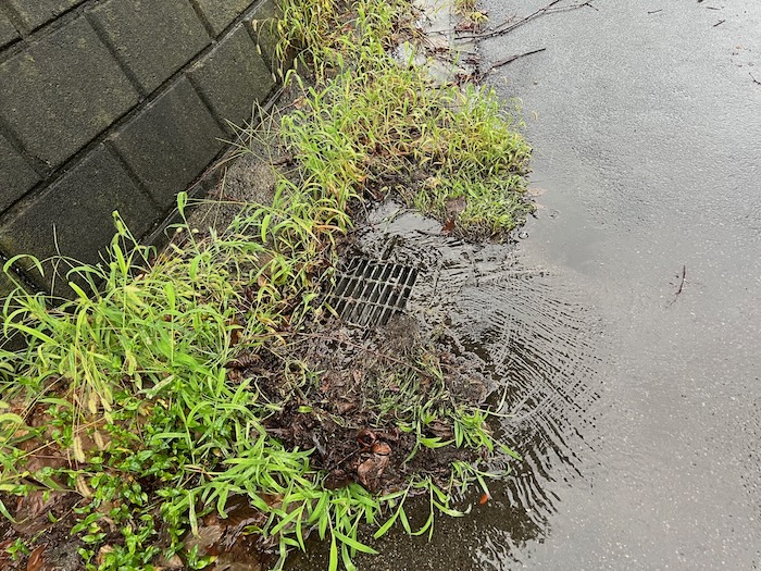 側溝の蓋を綺麗にすれば水は流れる