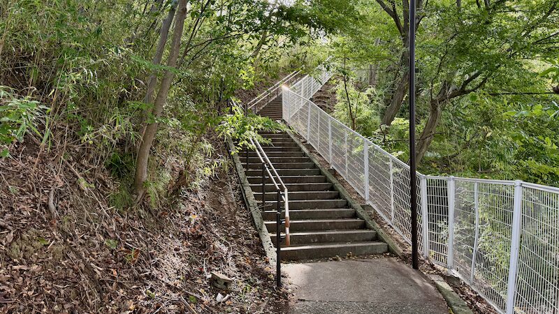 この階段を上ると大根中学校です。