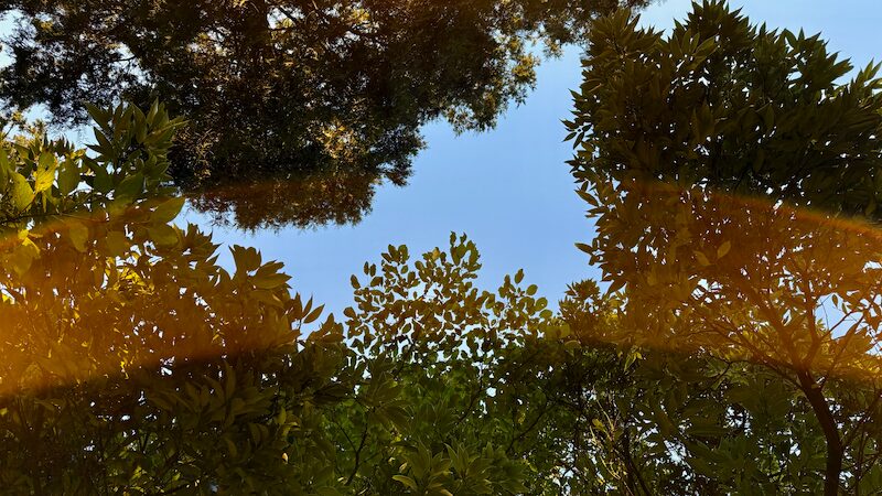 朝日を楽しむ余裕を持とう！