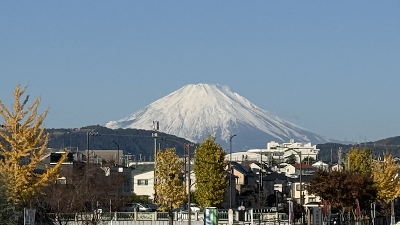 秦野市役所から富士山を望む