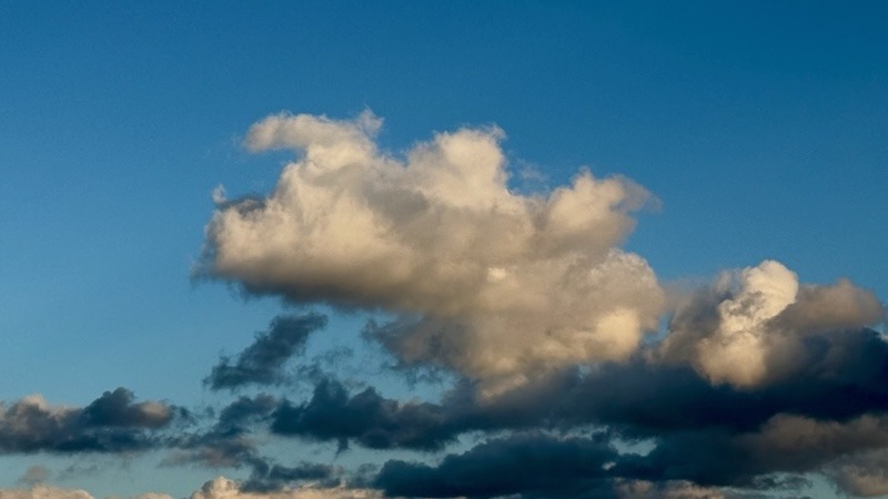 「どう見える？」は人それぞれだ。